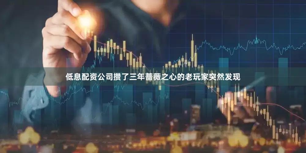 低息配资公司攒了三年蔷薇之心的老玩家突然发现